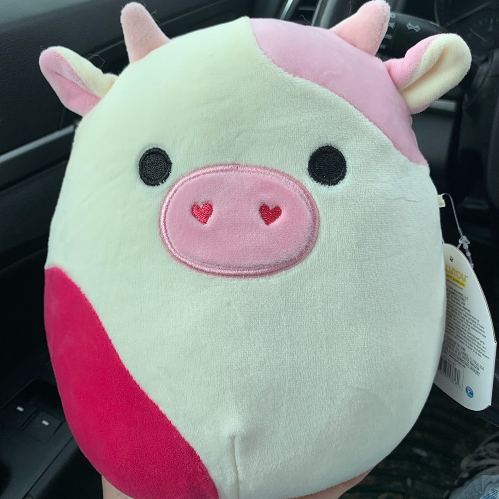Caedyn squishmallow